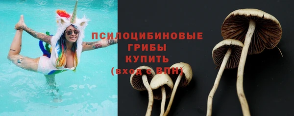 трава Медвежьегорск