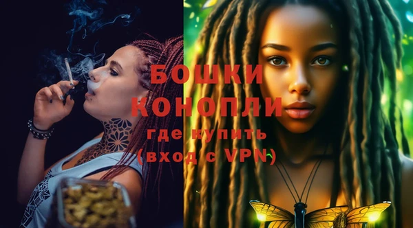 хмурый Мегион