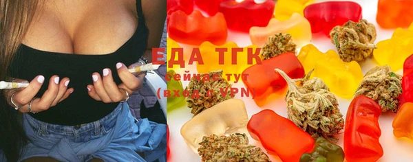 хмурый Мегион