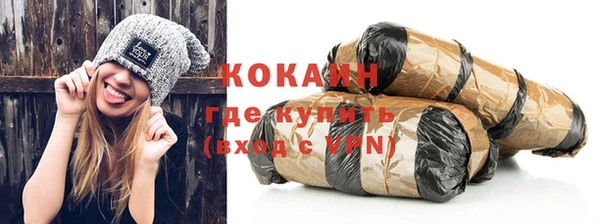 хмурый Мегион