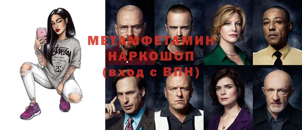 трава Медвежьегорск